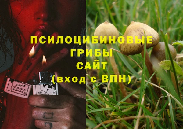 хмурый Сафоново
