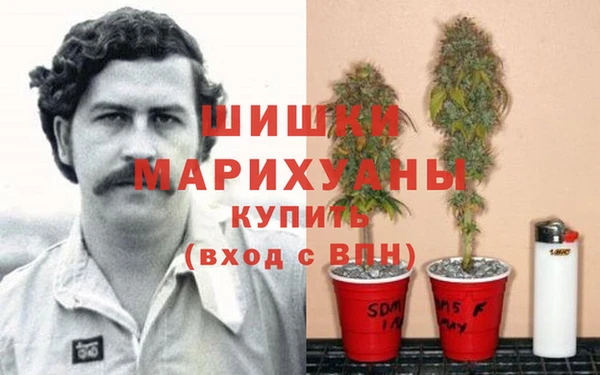 хмурый Сафоново
